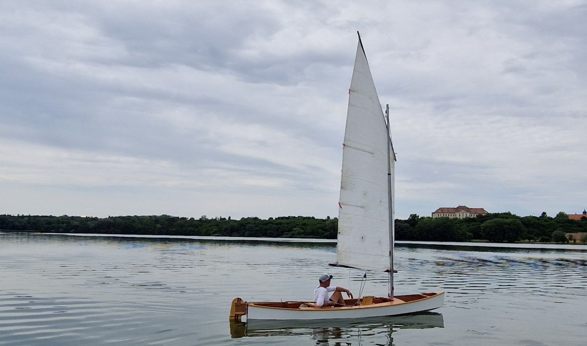 Iszapszemű Rája
