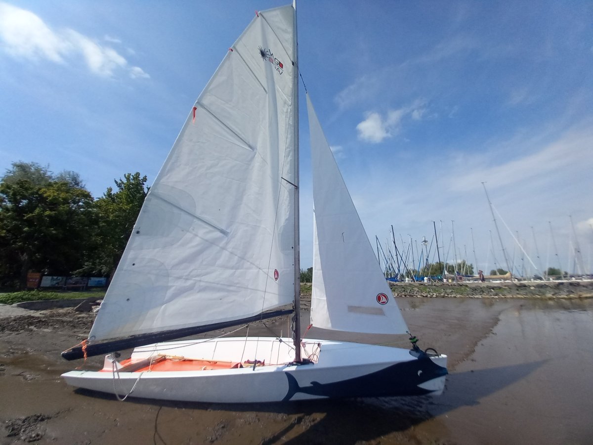 Marlin