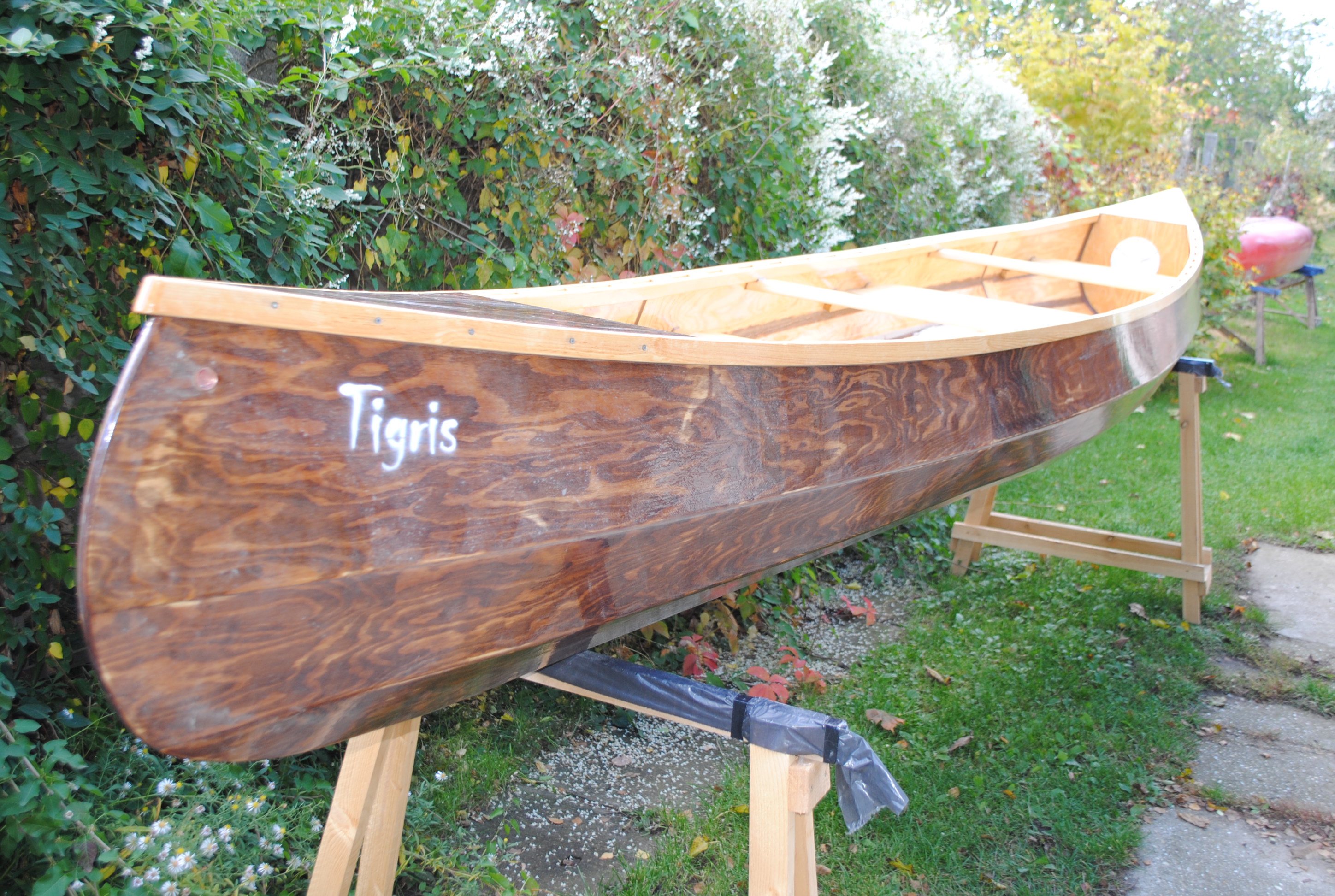 Tigris